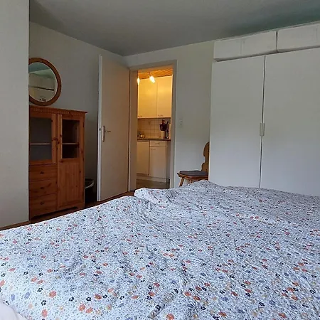 Appartement Daheim Appartement-fewo- Dusche Oder Bad- Wc 3-bettwohnung By Interhome *